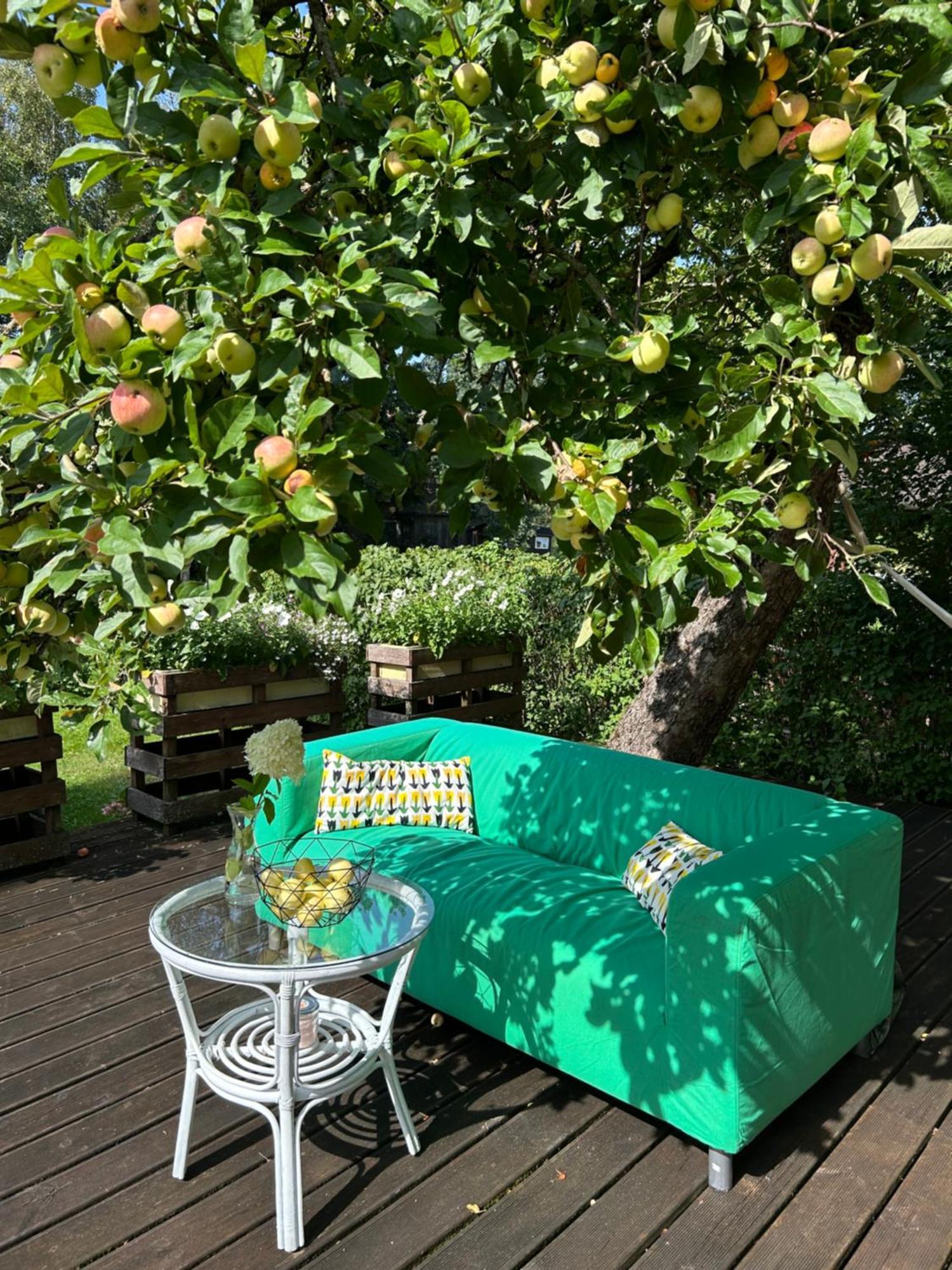 Puuna Oeoemaja B&B Vihterpalu 외부 사진